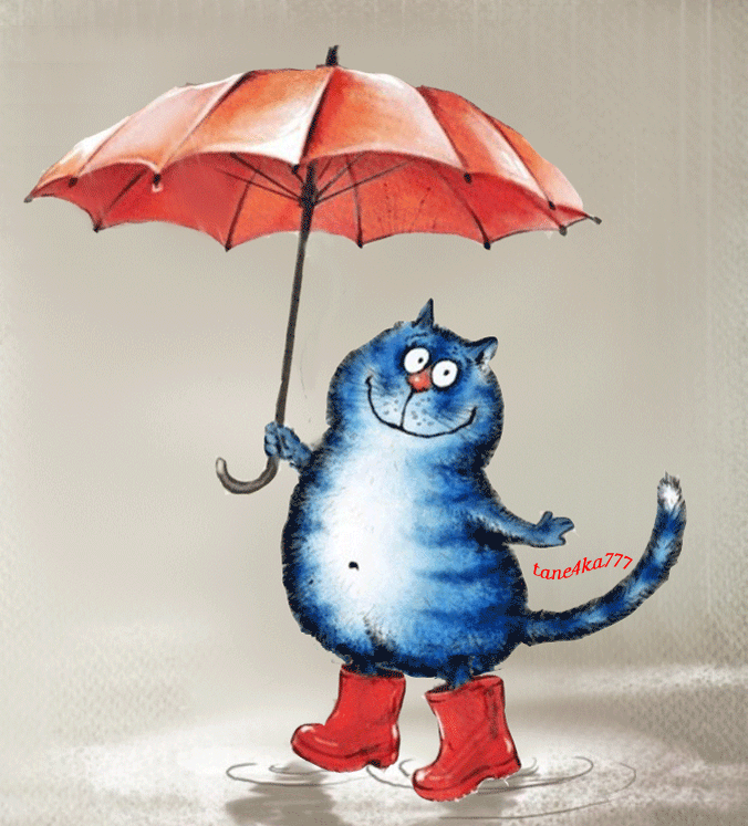 Дождь не помеха для хорошего настроения картинки прикольные